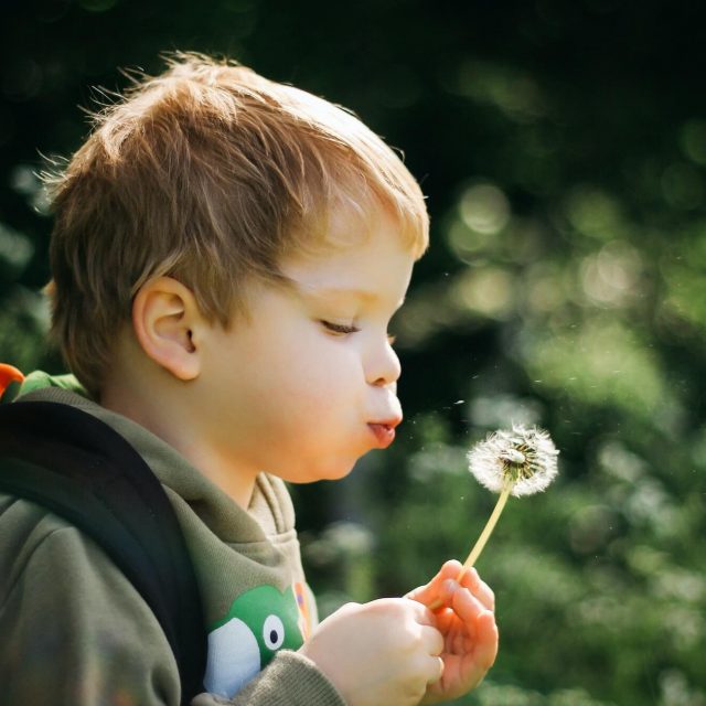 nature nature natur pojke med blomma vårt ansvar om miljön hållbarhetsstrategi